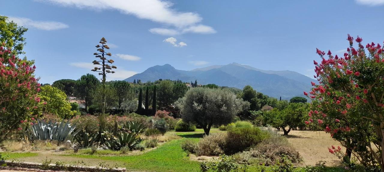 Castell Rose Bed & Breakfast Prades  Exterior photo