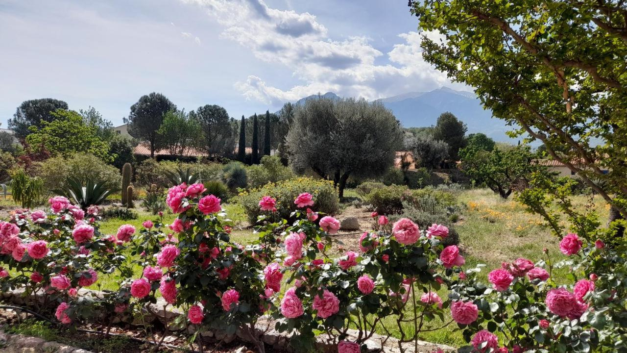 Castell Rose Bed & Breakfast Prades  Exterior photo