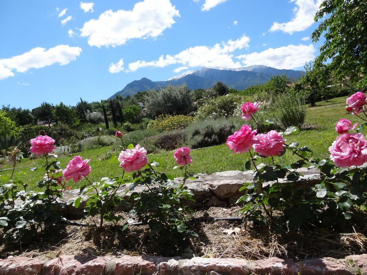 Castell Rose Bed & Breakfast Prades  Exterior photo