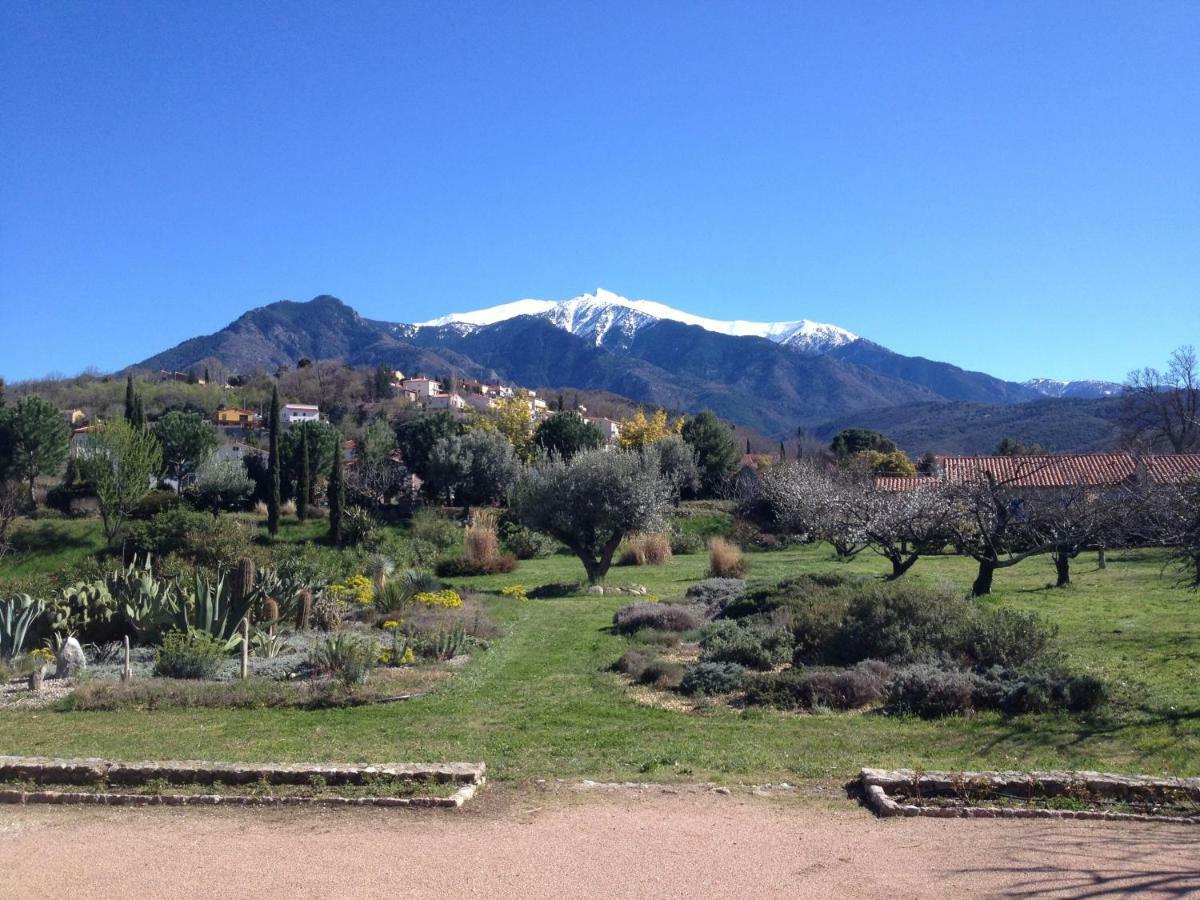 Castell Rose Bed & Breakfast Prades  Exterior photo